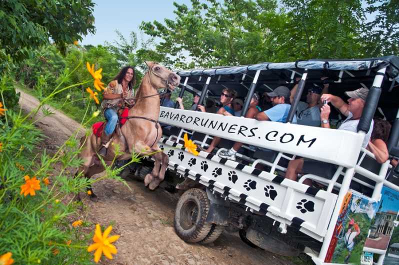 BAVARO RUNNERS SAFARI