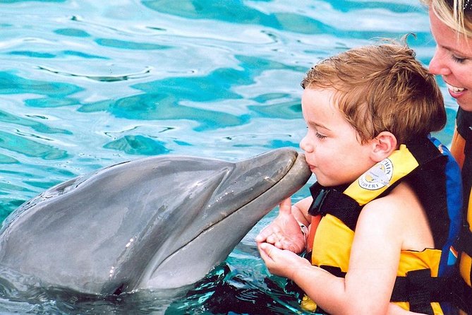 Dolphin Action Program