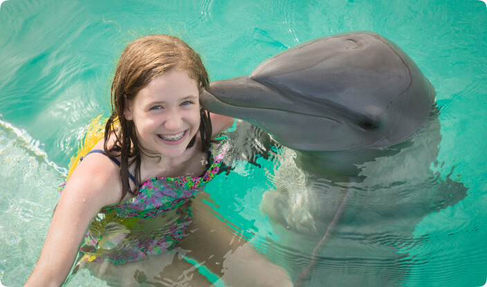 Dolphin Royal Swim