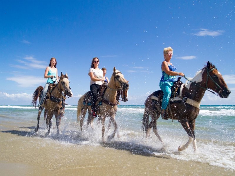 Horse Riding